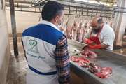 نظارت بهداشتی بر استحصال حدود 4 هزار تن گوشت قرمز در کشتارگاه دام شهرستان مبارکه 